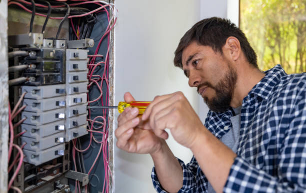 Best Electrician for Home Renovation  in Butte, AK